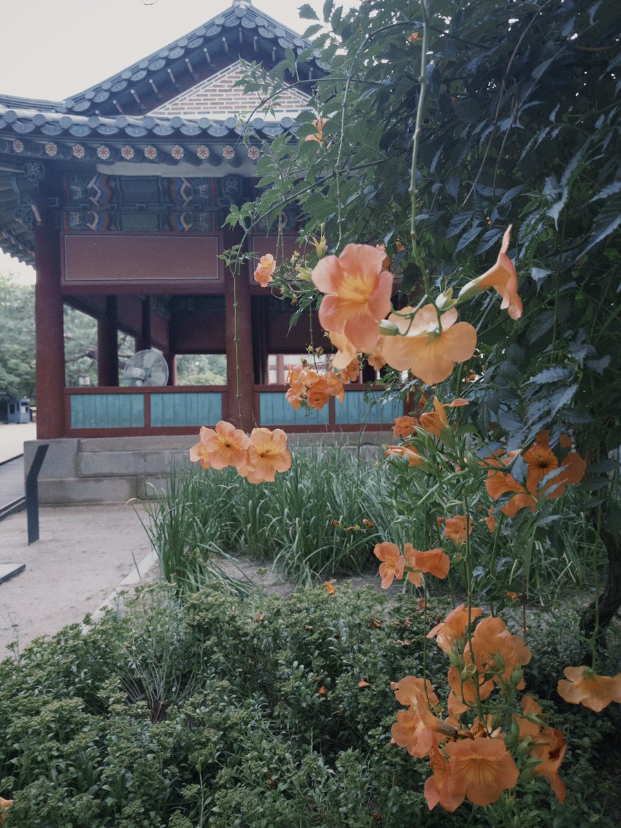 여름이 좋은 이유겠슨 . . .