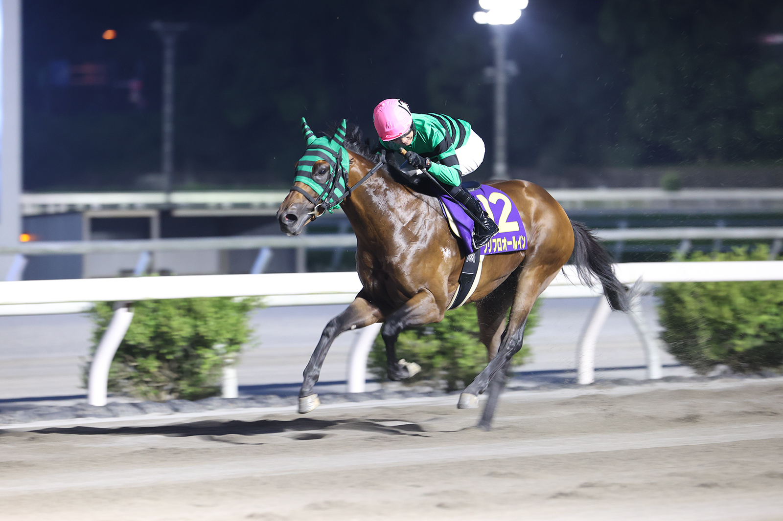 菊花賞　現地単勝馬券　３冠馬牡馬4頭まとめ売り 菊花賞 現地単勝馬券 3冠馬牡馬4頭まとめ売り Yahoo
