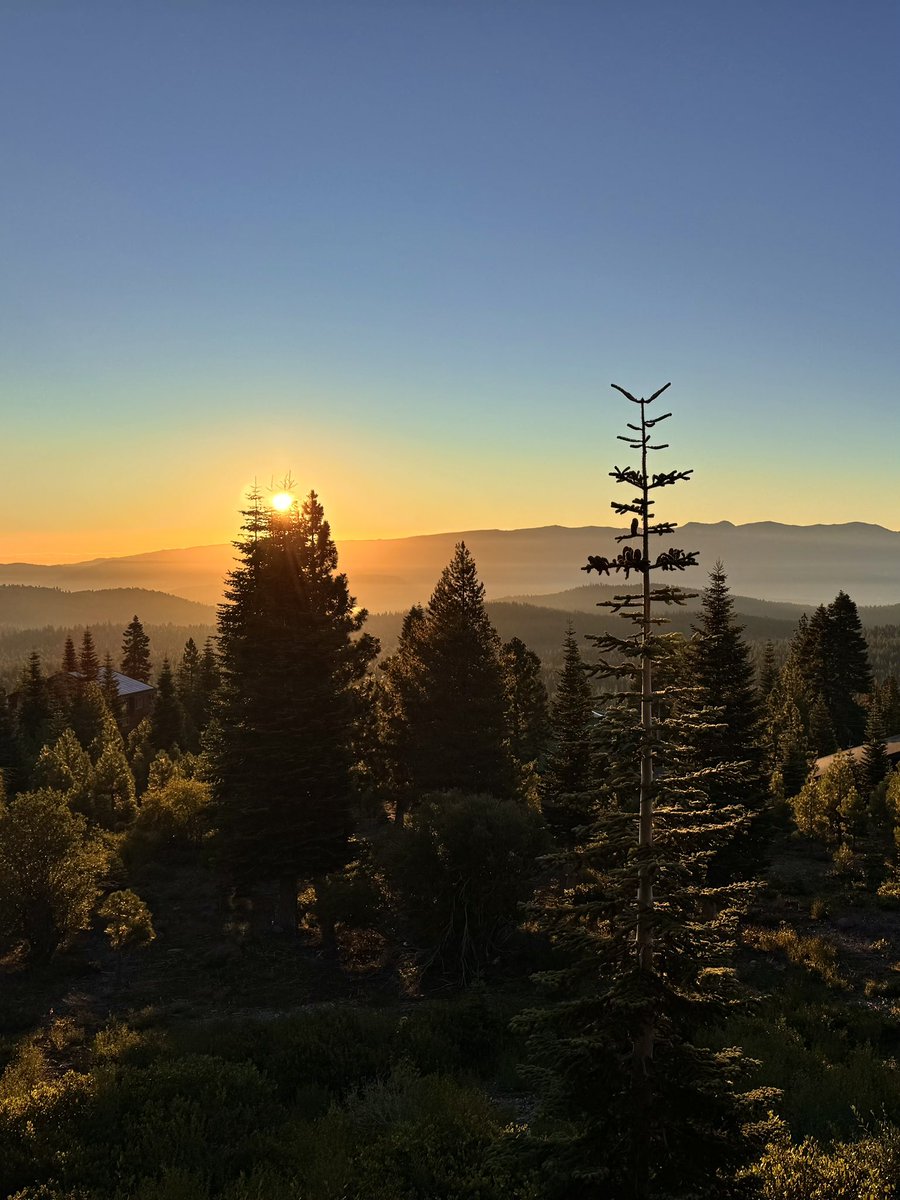 California, man…