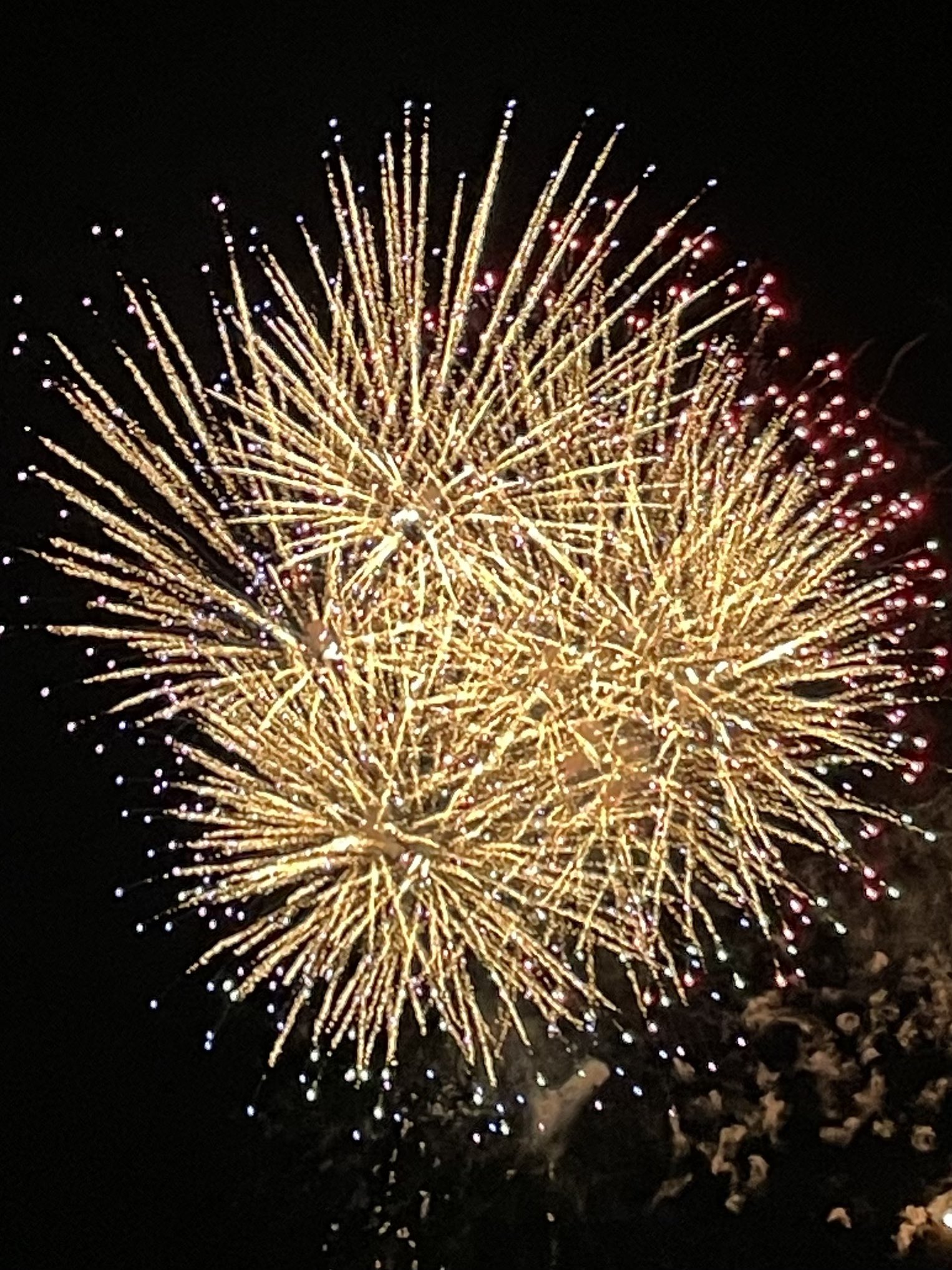 冬花火 Honda Celebration of Light 2025 カナダ競演で華やかに、優勝は