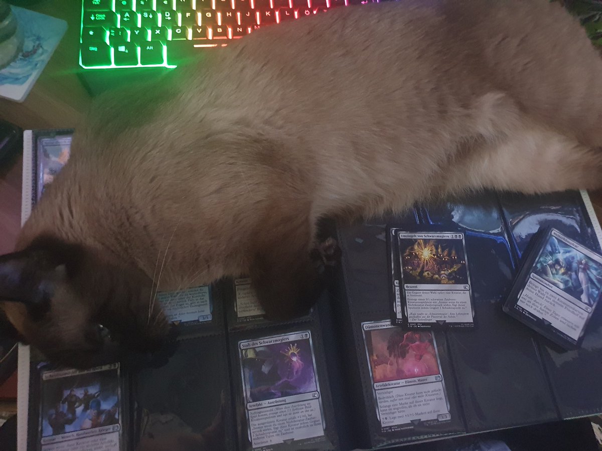 Sabotage beim MtG einsortieren XD