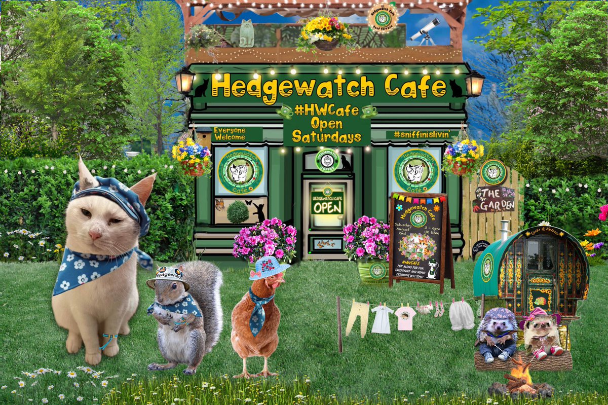 Happy Caturday all. Good to be here at the #HWCafe with Imogen and Trev. Look at the hedgehogs caravan they even have their washing on the line. ❤️❤️🐾🐾