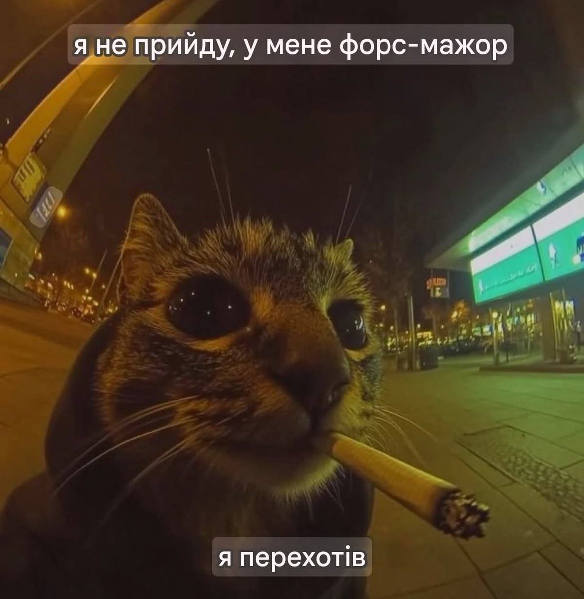 Пороблено tweet media