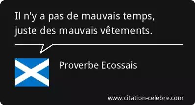 Citation Célèbre tweet media