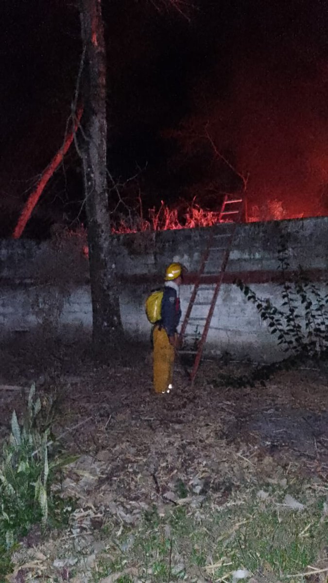 🚨 Bomberos Ibagué atendieron incendio forestal en parte trasera del Hotel El Edén.
🔥 20 m² de guadua, basura y madera afectados.
💧 Control con bombas de espalda.
🚒 Móvil 04
👨‍🚒 3 unidades en escena
📞 119 / 300 973 7272