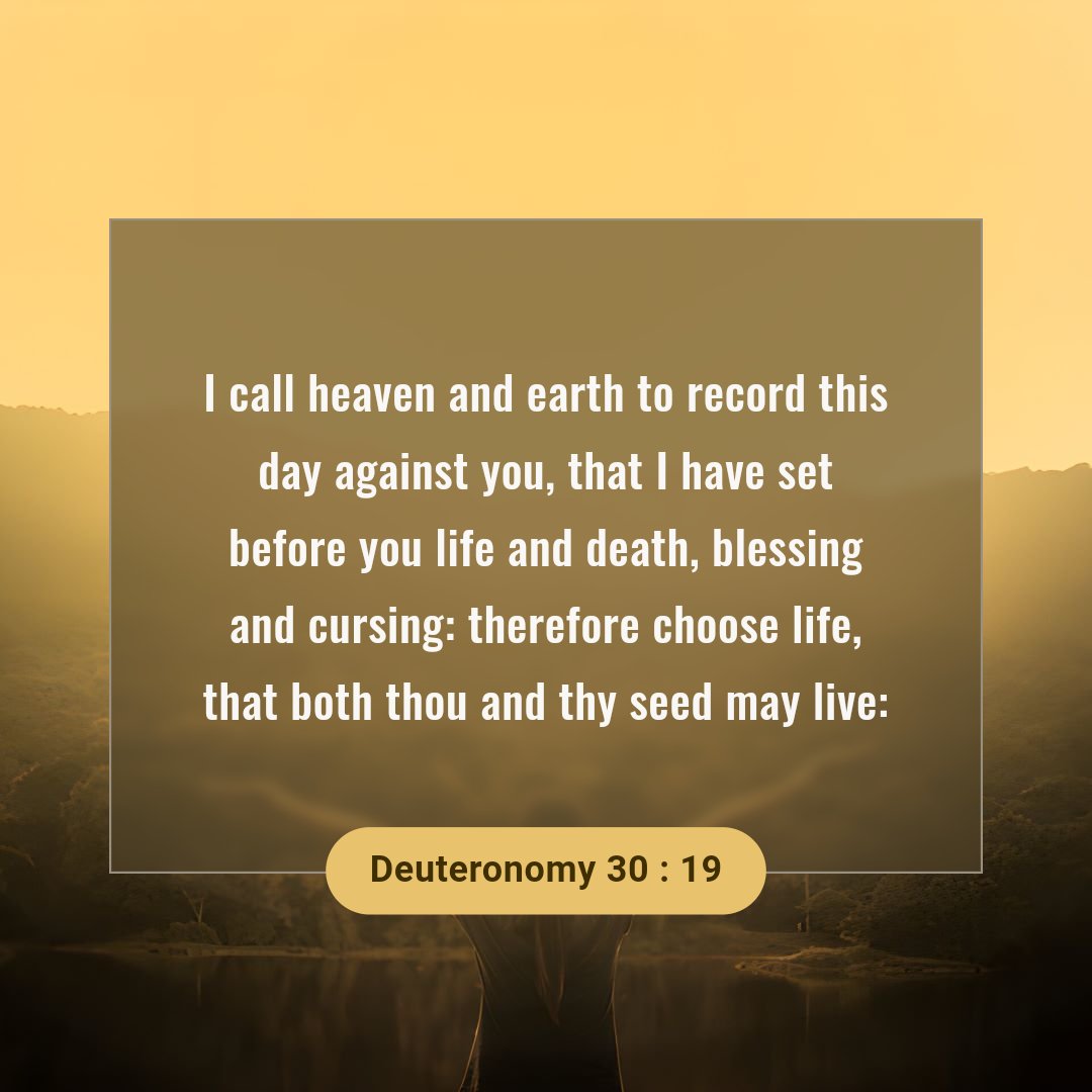 George Sand (@sabinasand) on Twitter photo 