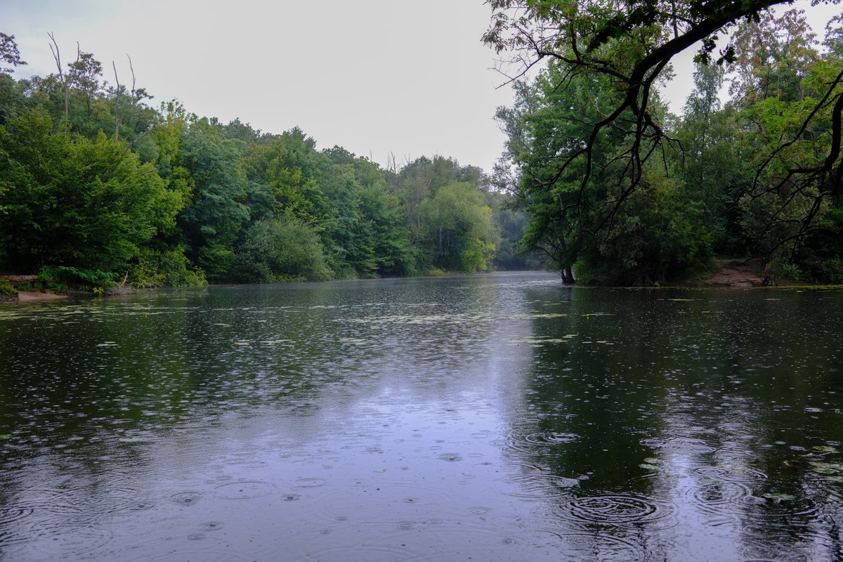 KopfYvonne's tweet image. Im Regen auf den See schauen - einfach nur schön

#Auszeit #Selbstfürsorge #SchönesGegenDoofes #FloodTheZoneMitSchoenem #Oberwald #Karlsruhe