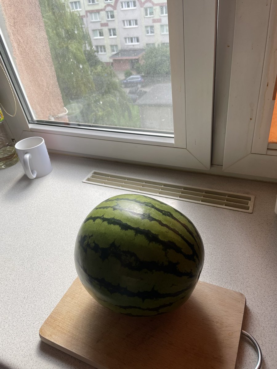 my the summer hikaru died merch