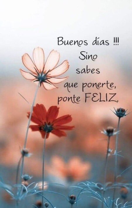 #BuenosDías que este nuevo día 🔆nos sorprenda...con momentos gratos 🙏, sonrisas😊 y todo aquello que nos haga feliz 💗🙏#BuenSabado
Paz , amor , salud , abundancia 🍀
Agradeciendo por un día más y uno menos 🍄🍃🍀🍭🥞