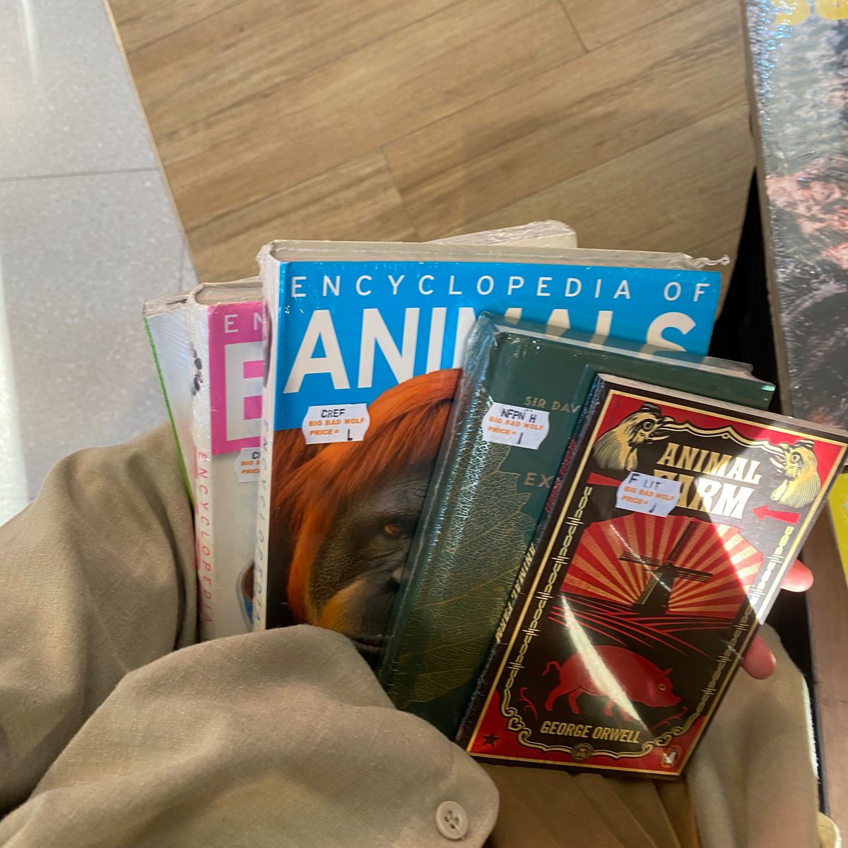 Akhirnyaaa euy, setelah 2 tahun ga ngabsen semesta buku atau BBW!

BBW Haul! Yang niatnya “beli satu aja” tapi ternyata…