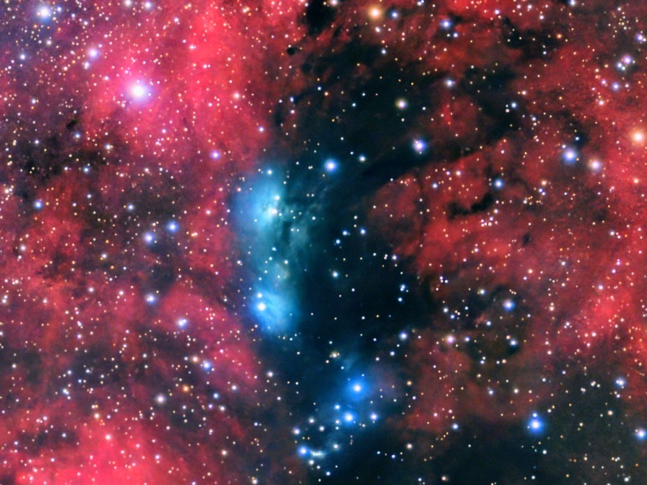 vdB141's tweet image. 昨晩撮影第二弾
サドル付近は赤一辺倒と思っていましたが、青い反射星雲?が隠れていました。NGC6914と言うらしい。200%拡大してトリミング
#SQA55 #EOS6D