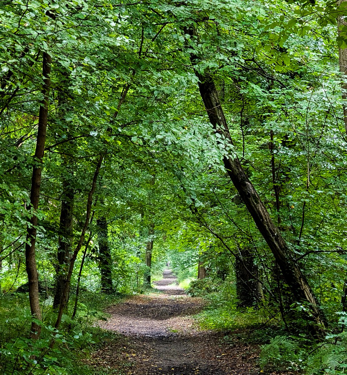 KopfYvonne's tweet image. #Auszeit #Selbstfürsorge #SchönesGegenDoofes #FloodTheZoneMitSchoenem #Oberwald #Karlsruhe