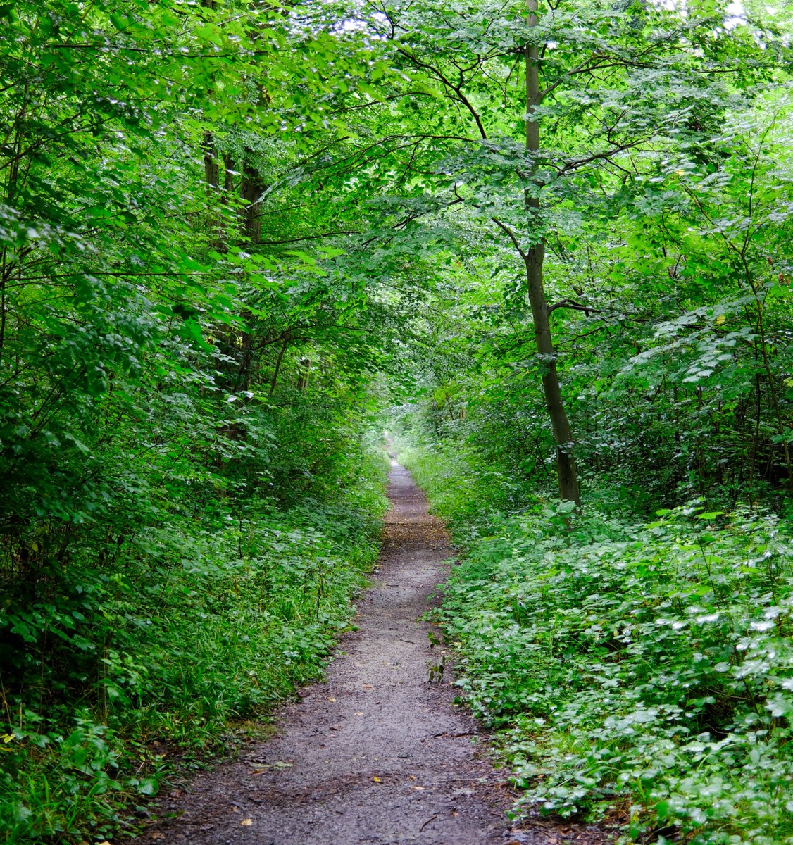 KopfYvonne's tweet image. #Auszeit #Selbstfürsorge #SchönesGegenDoofes #FloodTheZoneMitSchoenem #Oberwald #Karlsruhe