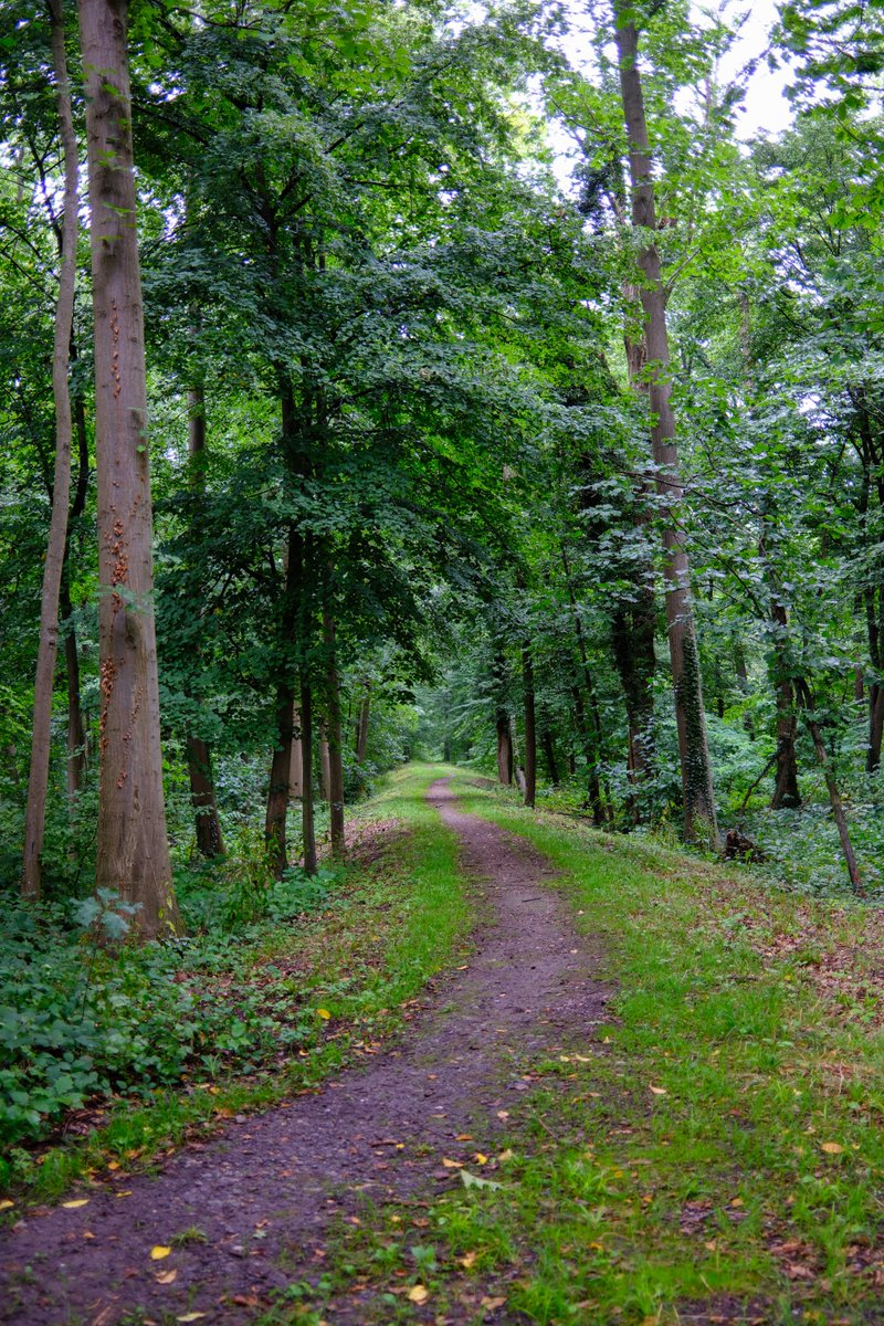 KopfYvonne's tweet image. #Auszeit #Selbstfürsorge #SchönesGegenDoofes #FloodTheZoneMitSchoenem #Oberwald #Karlsruhe