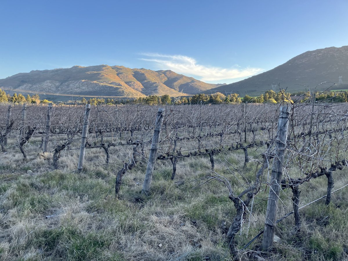 viljoenvn's tweet image. Evening at Lemberg Wine Estate, #Tulbagh 

1 August 2025