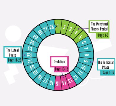 Chief Calhoun ๐๐๐๐ (@chiefcalhoun) on Twitter photo <a href="/iam_kendiii/">๐๐ฒ๐ป๐ฑ๐ถ๐ถโก</a> Learn your ovulation cycle. Get an app that teaches your cycle. Learn about the life of a speem and how long it takes to reach an egg during ovulation time. Hereโs a chart of the cycle. Itโs not perfect science but knowing these things could be helpful tools <a href="/iam_kendiii/">๐๐ฒ๐ป๐ฑ๐ถ๐ถโก</a> Learn your ovulation cycle. Get an app that teaches your cycle. Learn about the life of a speem and how long it takes to reach an egg during ovulation time. Hereโs a chart of the cycle. Itโs not perfect science but knowing these things could be helpful tools