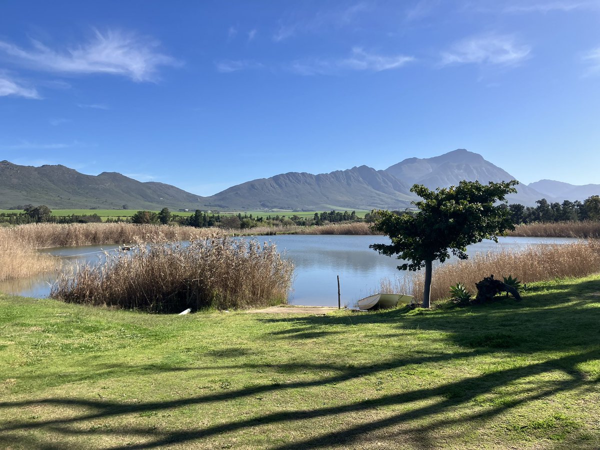 viljoenvn's tweet image. My pug (Bertus) and I escaped to Lemberg Wine Estate in #Tulbagh for some much-needed R&amp;amp;R. 

1 August 2025
