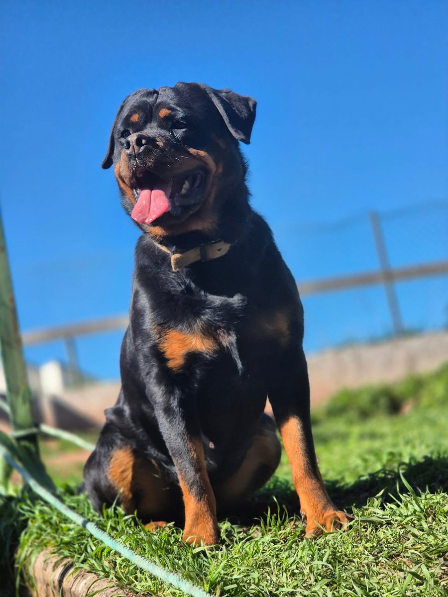 Babasını soranlar için