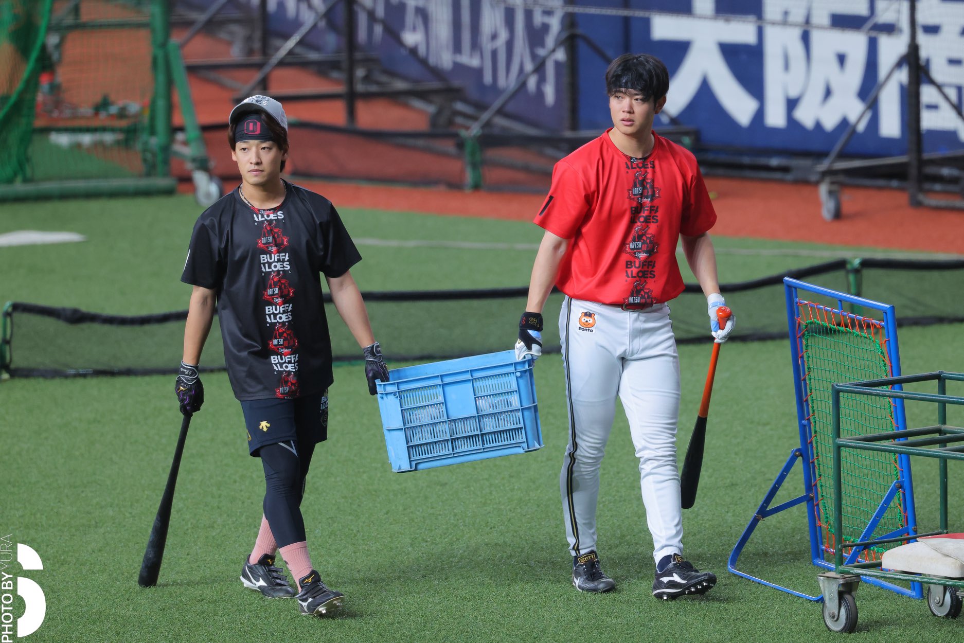 2025年3月侍ジャパン 出場選手シークレットチェキ 太田諒選手2枚