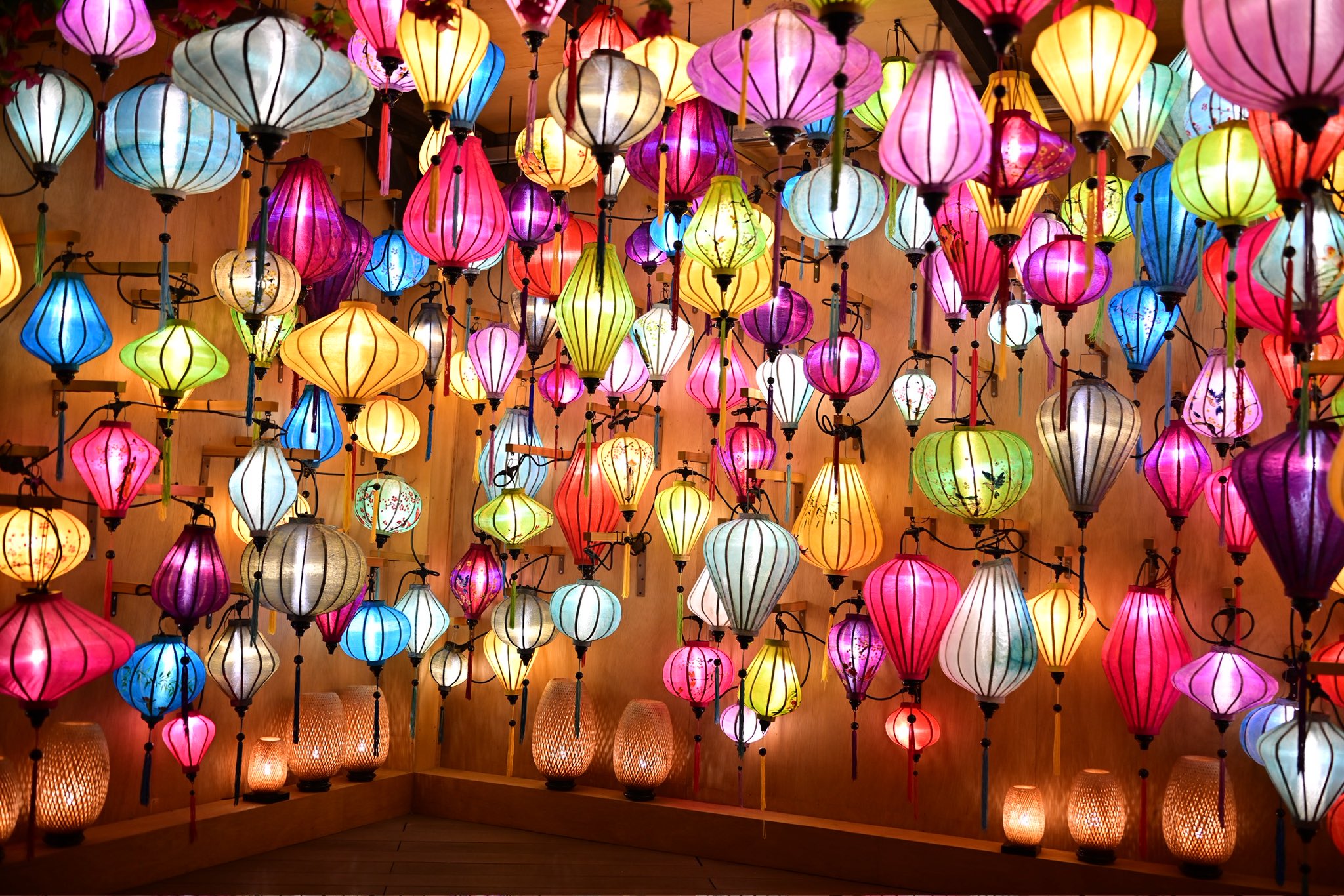 ハマっこ ハマッ子」のご紹介 | JA横浜