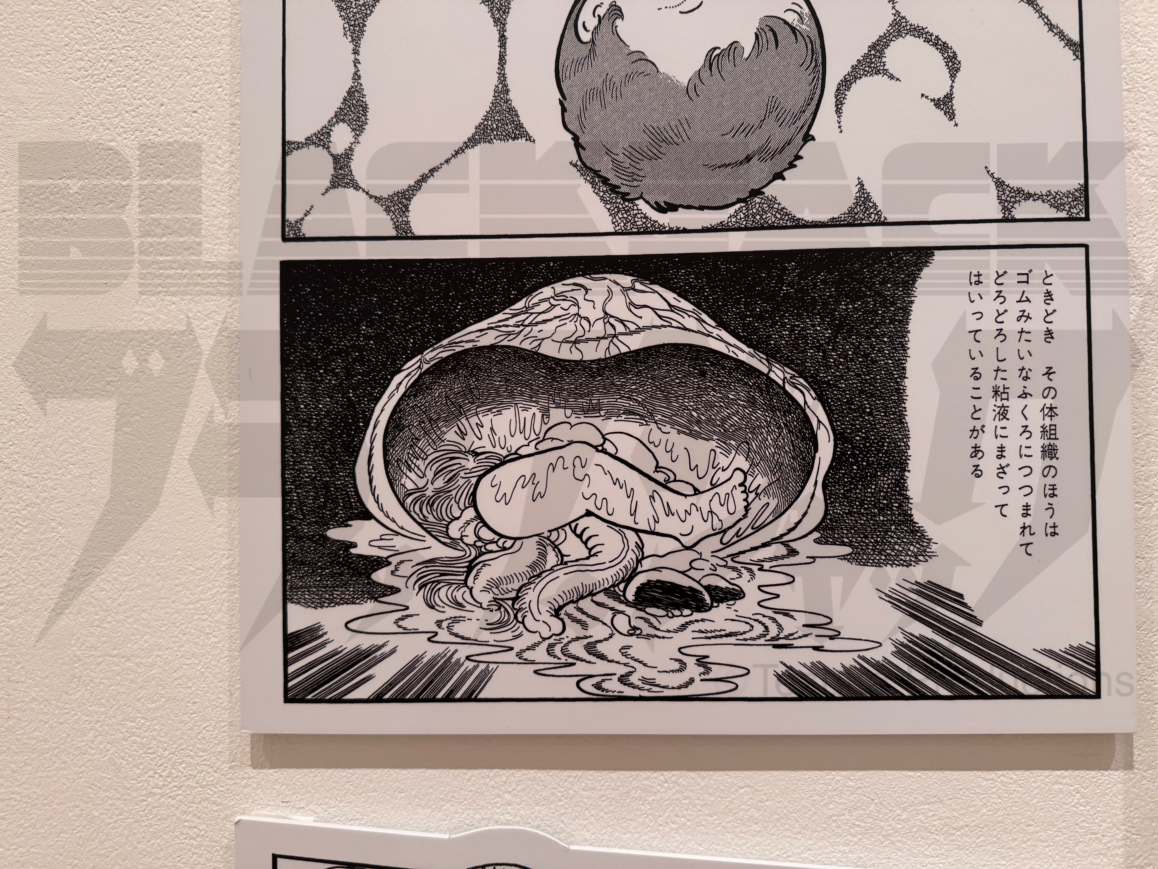 新品⭐BLACKJACK展公式図録ブラックジャック展 会場限定 手塚治虫 Amazon.co.jp: ブラックジャック 展 アートブック 会場限定 図録