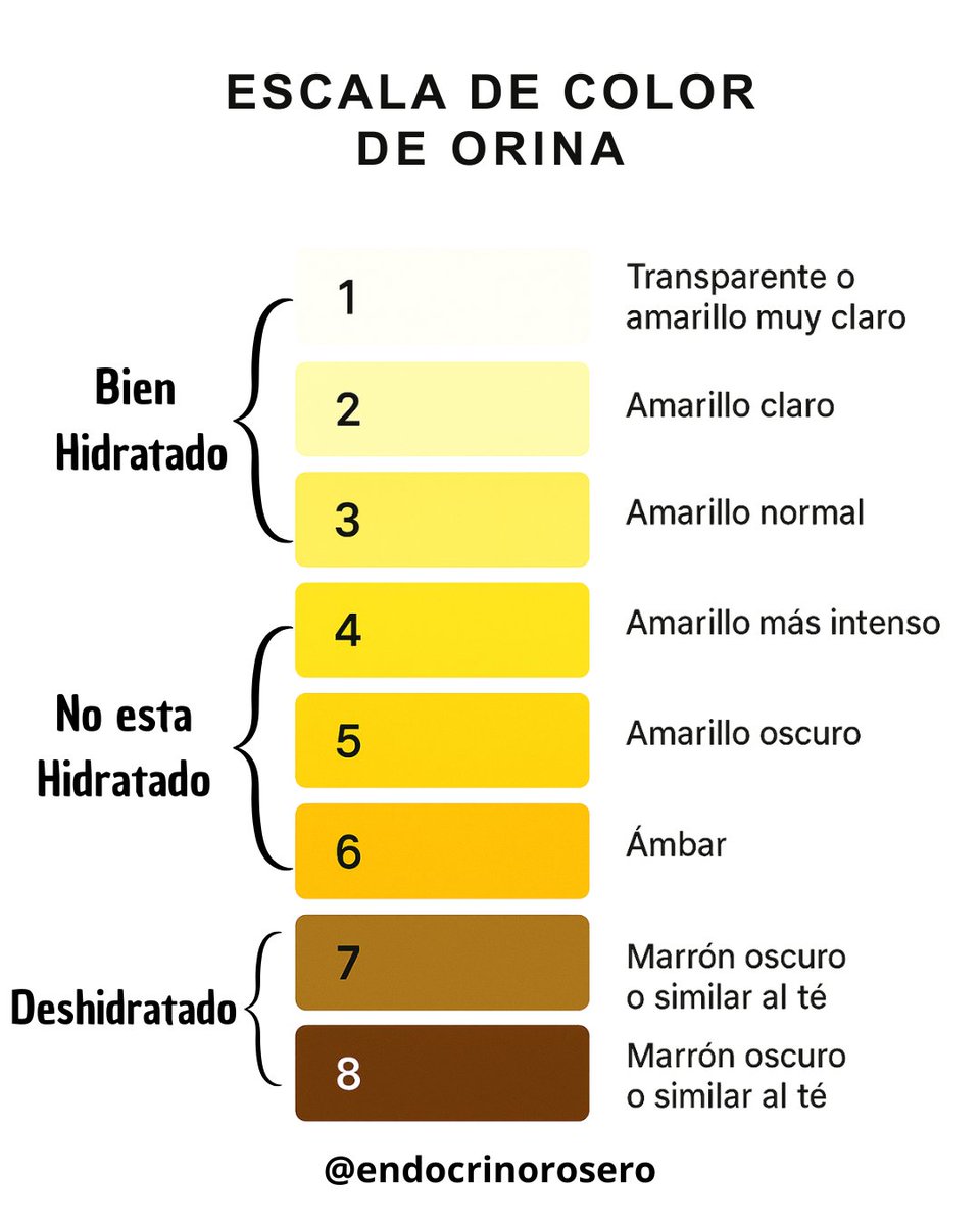 💧¿Tomas suficiente agua? 

Tu orina te da la respuesta.
Estar bien hidratado es clave para que tu metabolismo funcione bien:

✔️ Ayuda a quemar más calorías
✔️ Controla el apetito
✔️ Mejora digestión, transporte de nutrientes y eliminación de toxinas

No necesitas un laboratorio