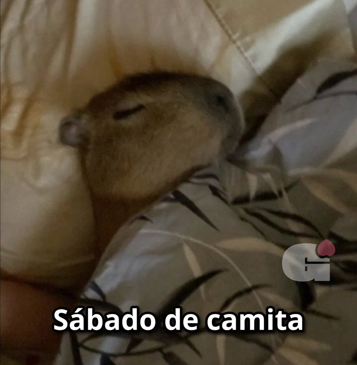 Mood: