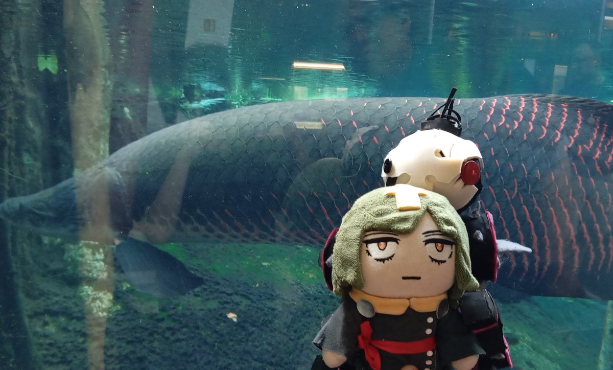 They think everything is about them oh my fucking goooood