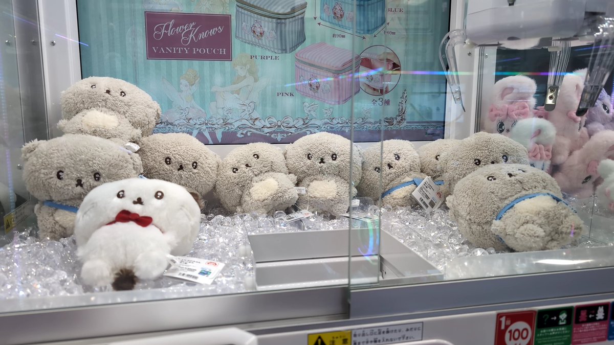 ここに後輩ちゃんも増えるの嬉しい
（渋いゲーセンのUFOキャッチャー）前見たより若干減ってたけど
#いしよわちゃん
#後輩ちゃん登場