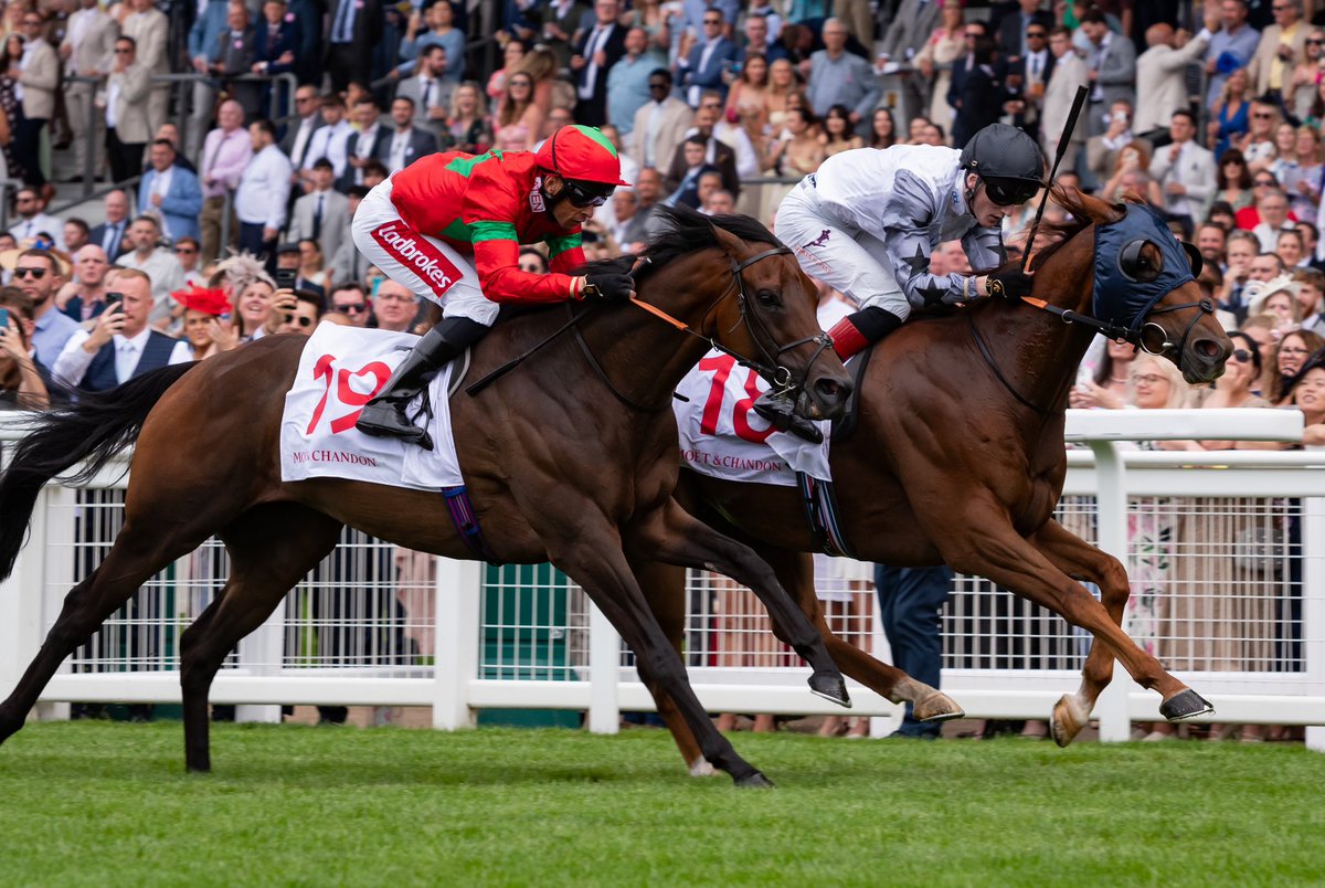 TWO TRIBES makes it 2 wins in 7 days as he justifies huge market support to win the <a href="/Coral/">Coral</a> Stewards Cup under David Egan. 

A great training performance from Richard Spencer, a week on from his success in the International at <a href="/Ascot/">Ascot Racecourse</a> . 

11/2 Favourite from 18/1 last night!