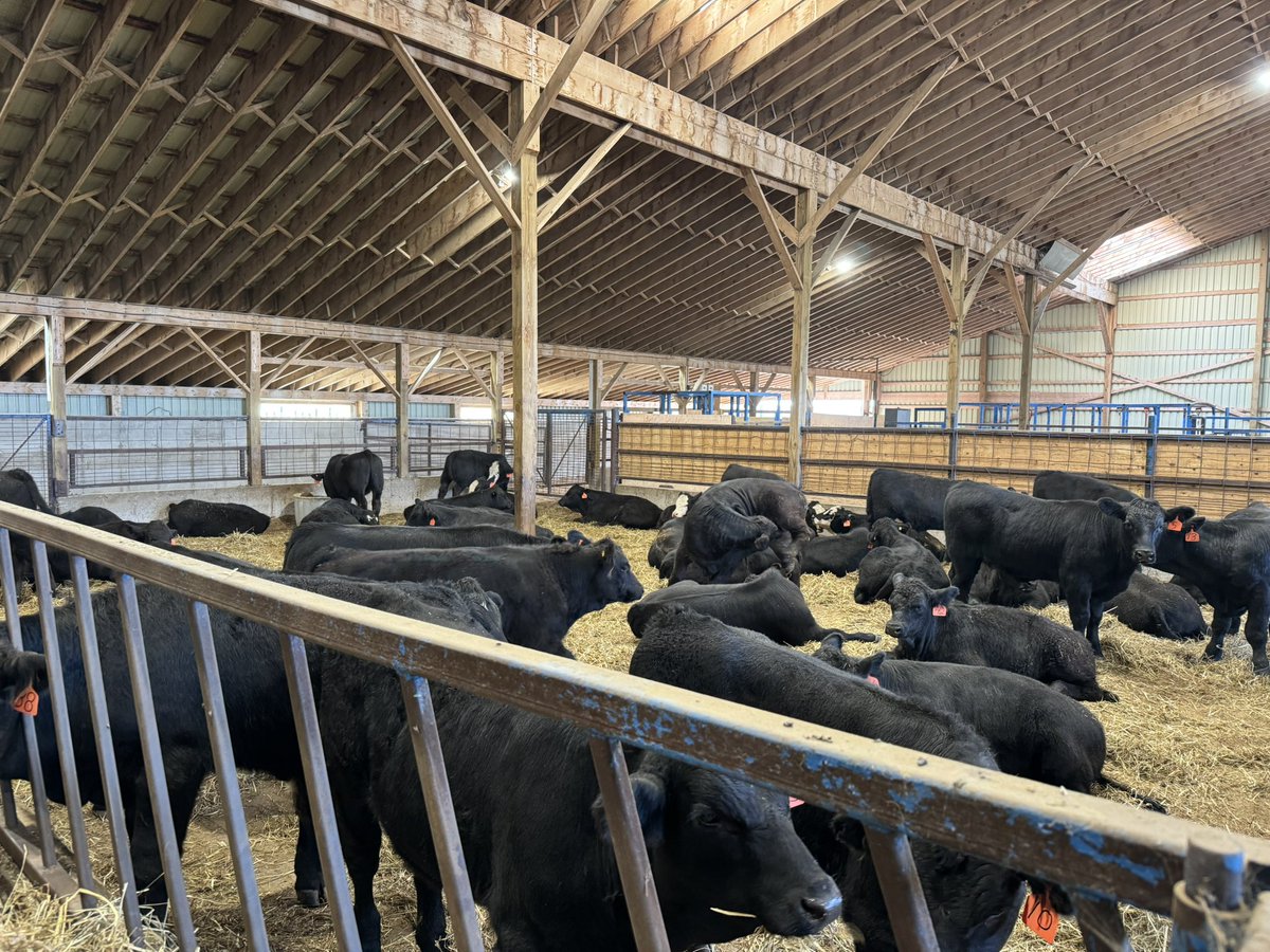 Ken Schaus 🇨🇦 tweet media