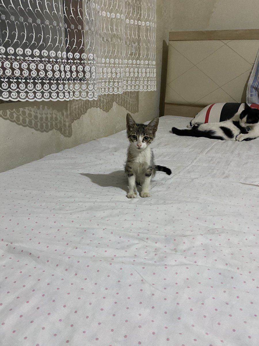 Adım cafer boyum 1.10 yuva arıyorum 
Denizli🏠