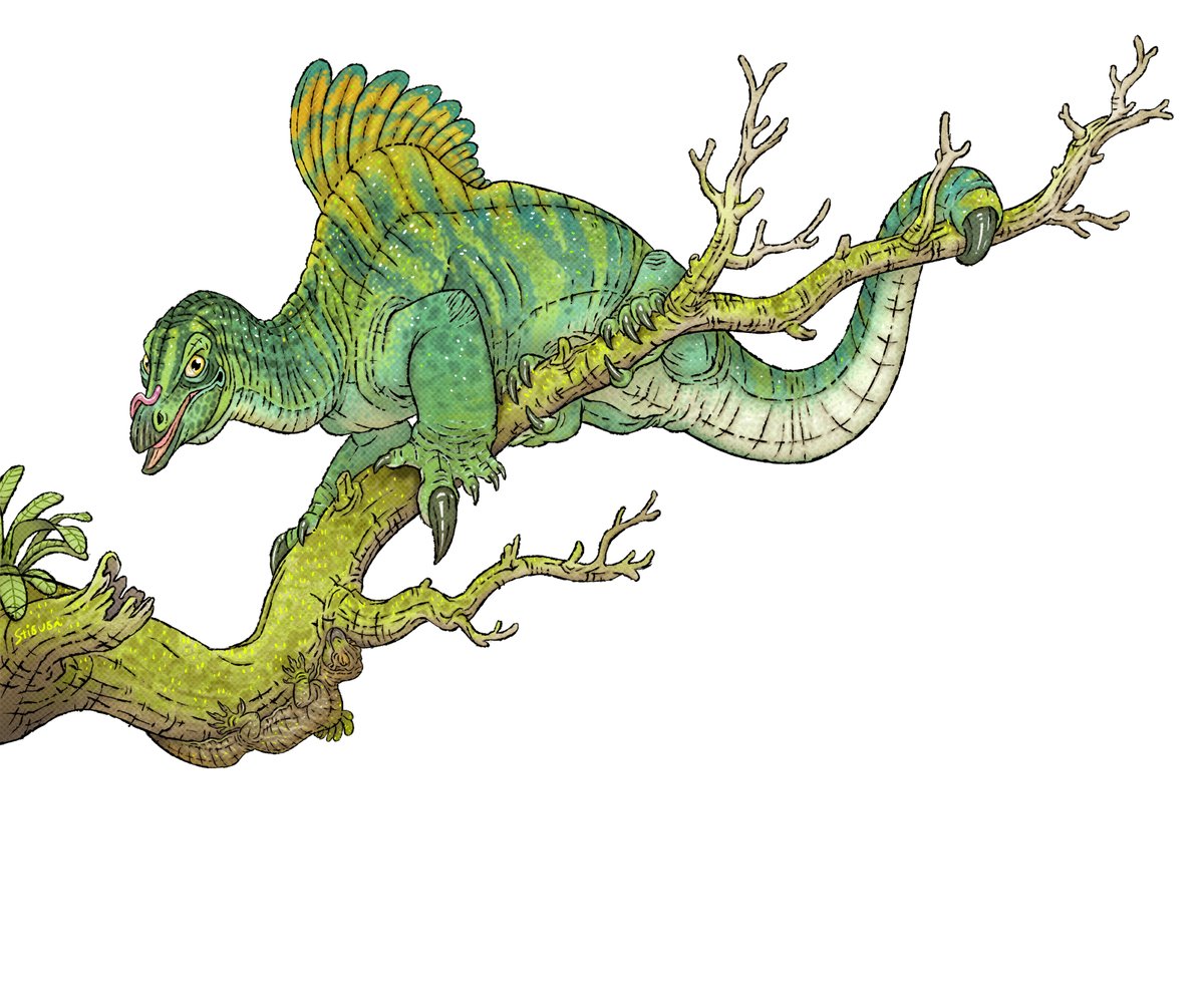 little drepanosaur update...
