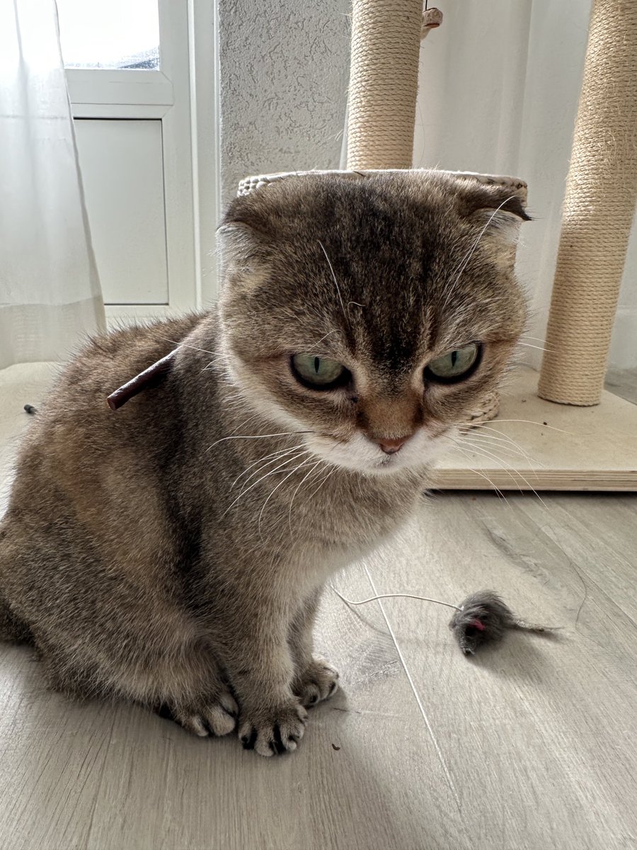 Is there a snack on my back 🙀🙀🙀