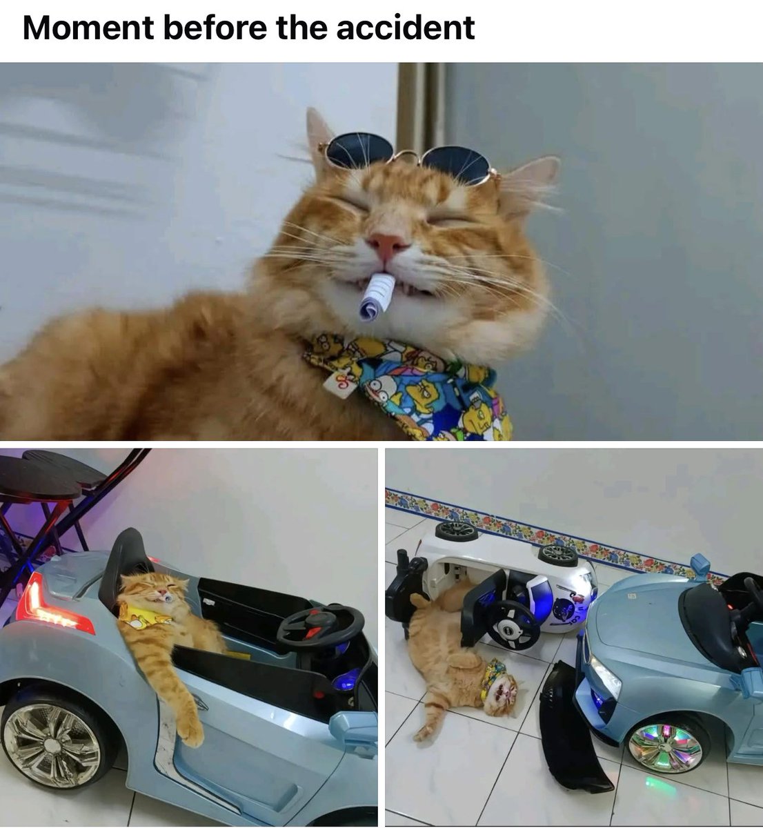 <a href="/On5286Caroline/">Caroline</a>