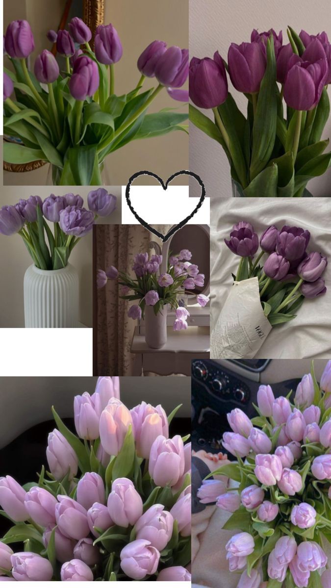 Only Tulips (@tutututututulip) on Twitter photo 
