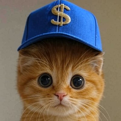 secret_tradeG's tweet image. #newcap $CAP