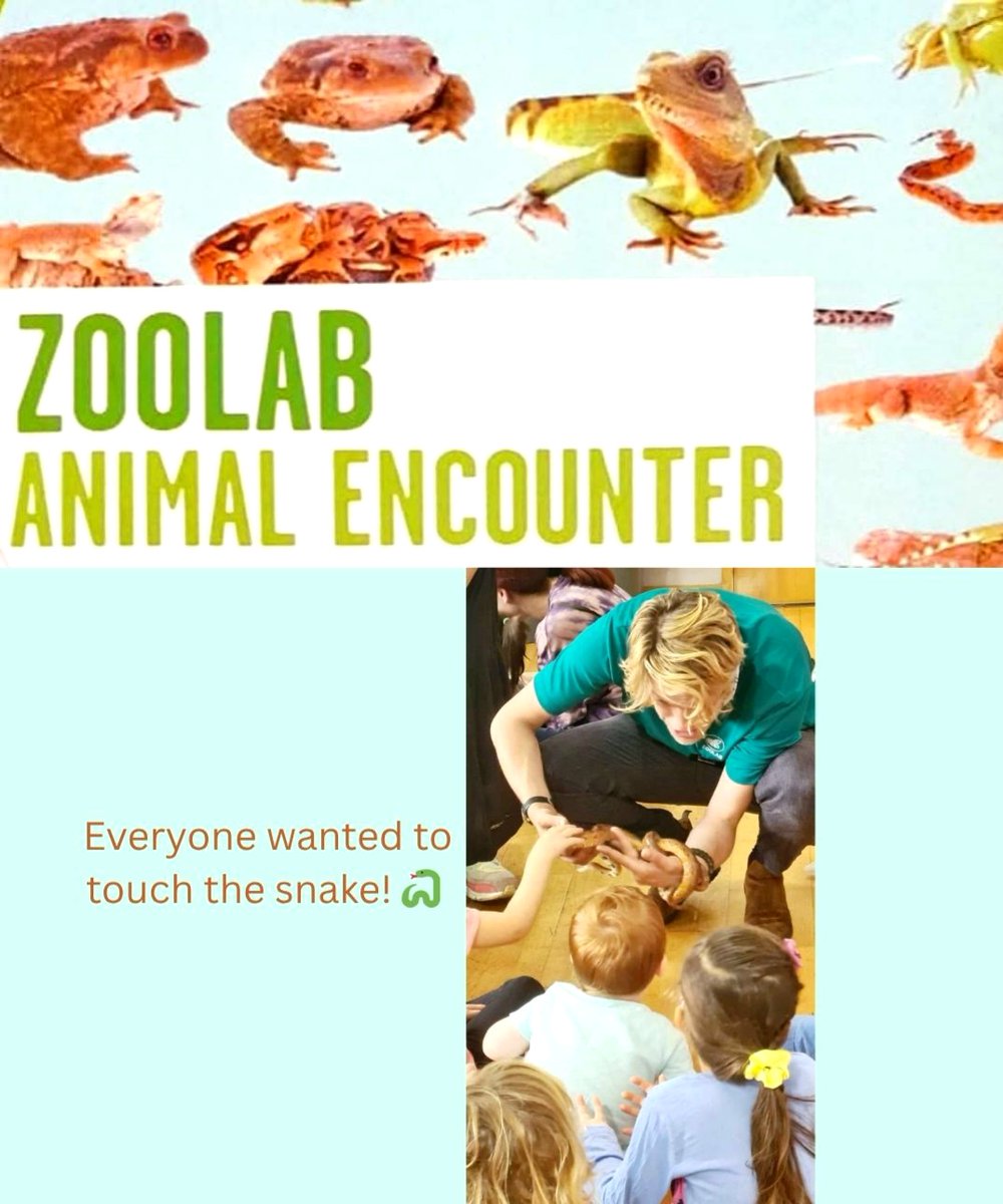 Everyone wanted to touch the snake last year... and ZOOLAB is back this summer!🐍 Stroke a snake, strike a pose with a spider, or cuddle a cockroach!!🐞 🦗🕸🐍 
Free, but booking essential, for families with children aged 3+ 🐌

 🐍 Friday 8th August
  EARLSFIELD LIBRARY, 11:00am