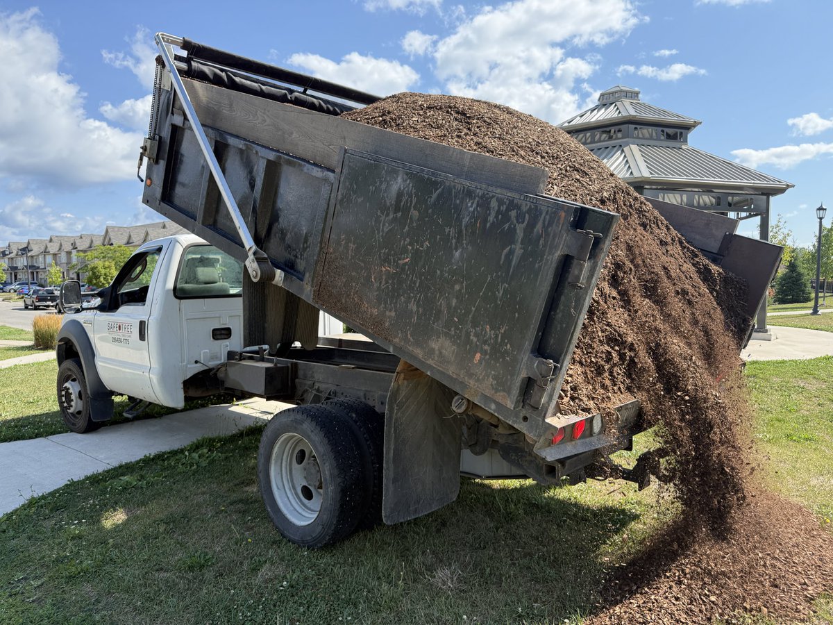Sean James (@seanjamesdesign) on Twitter photo 2of2 It also helps keep moisture in and it just looks amazing! 2” thick is about right. This #compostedmulch comes from <a href="/safetreeltd/">Safe Tree Ltd.</a> in the Niagara Region and I’m SUPER-impressed with it! 2of2 It also helps keep moisture in and it just looks amazing! 2” thick is about right. This #compostedmulch comes from <a href="/safetreeltd/">Safe Tree Ltd.</a> in the Niagara Region and I’m SUPER-impressed with it!