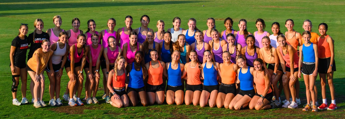 Jim McGuinness tweet media