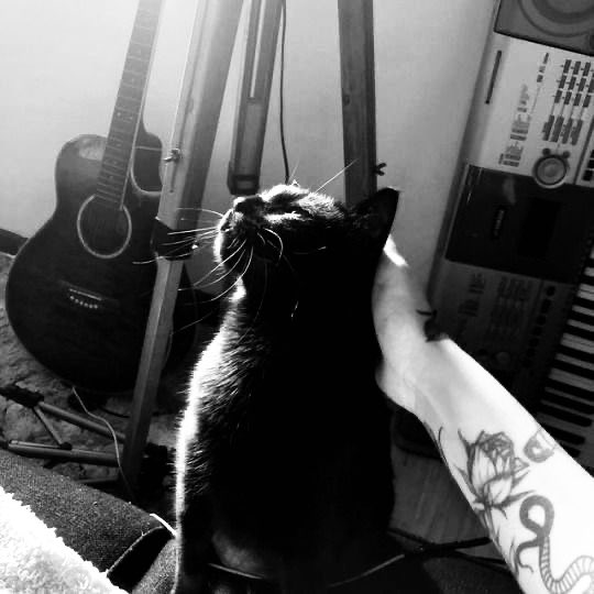 mer (@soheehuskyx) on Twitter photo 