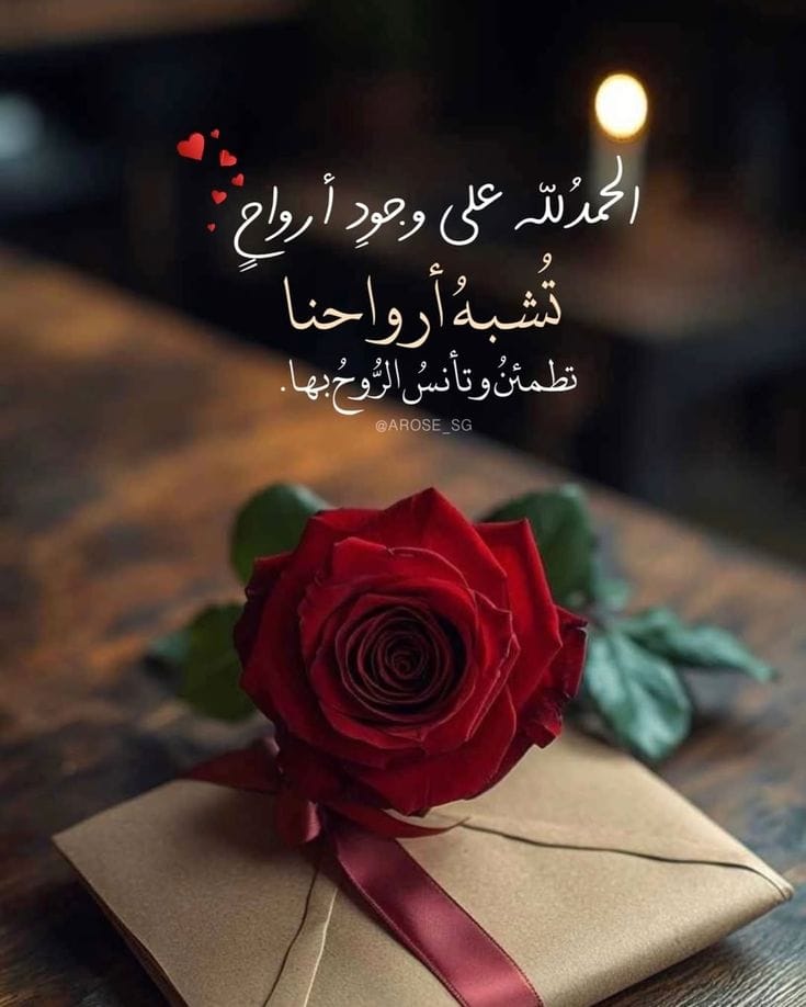 el3yoon88's tweet photo. وبعض الأࢪواح اللطيفة حياة للحياة. 💙
#مساء_الخير https://t.co/6fizi71Ga1