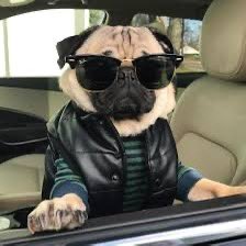 PTBNK. (@pt8nk) on Twitter photo Just a dog vibing, being the first one to launch on <a href="/JupiterExchange/">Jupiter (🐱, 🐐)</a> launchpad
Gtsc6kLaT4rdhoPb6q5UUsCHo5LgDtipWQF8tk8Vjups Just a dog vibing, being the first one to launch on <a href="/JupiterExchange/">Jupiter (🐱, 🐐)</a> launchpad
Gtsc6kLaT4rdhoPb6q5UUsCHo5LgDtipWQF8tk8Vjups