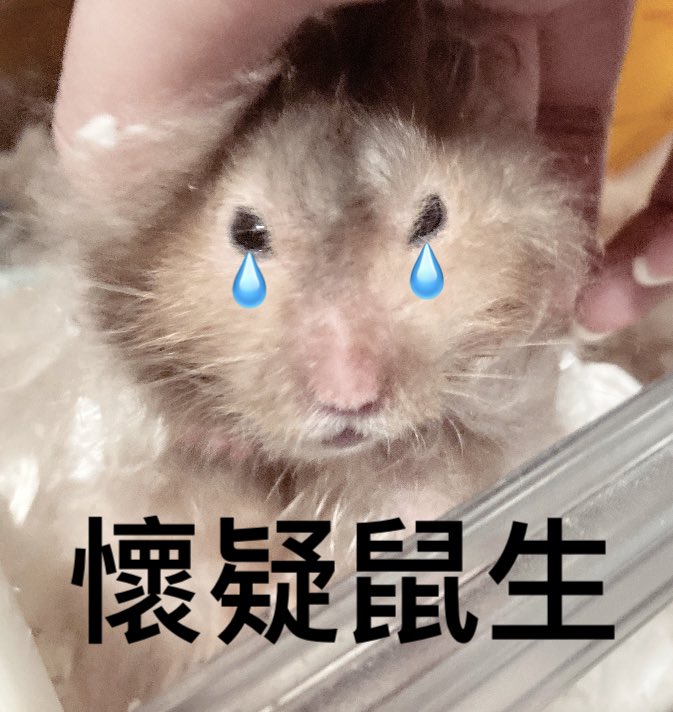 煮啵打洲猛攻监狱一天结果损失千万