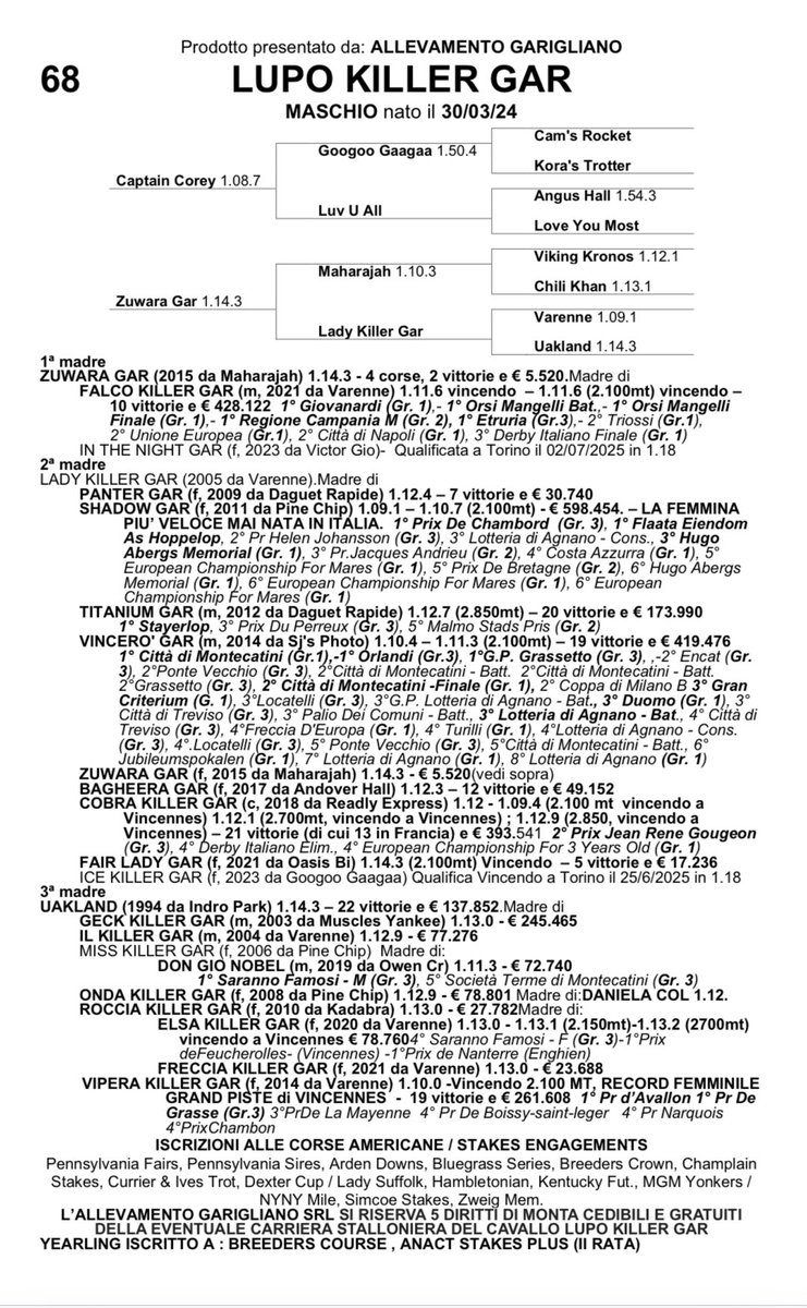 !!!!Accoppiata tutta italiana a Enghien nel Prix de Geneve (Gr.3)
Falco Killer Gar davanti a Frank Gio
I fratelli di questi due campioni passeranno sotto il martello del banditore alla prossima asta ITS dell’ 8/09/2025
Comprare alle aste conviene , all’asta ITS ancora di più
