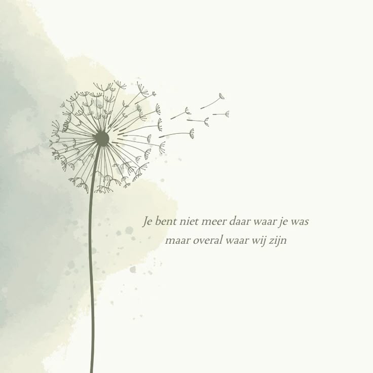 Carin Otten is veel te jong gestorven. Vandaag is zij naar haar laatste rustplaats gebracht. Carin was een goed en sterk mens. Een inspiratie. Zij zette zich op verschillende manieren in voor de maatschappij. Een groot verlies. Wij wensen Jos &amp; alle andere geliefden kracht toe 🖤