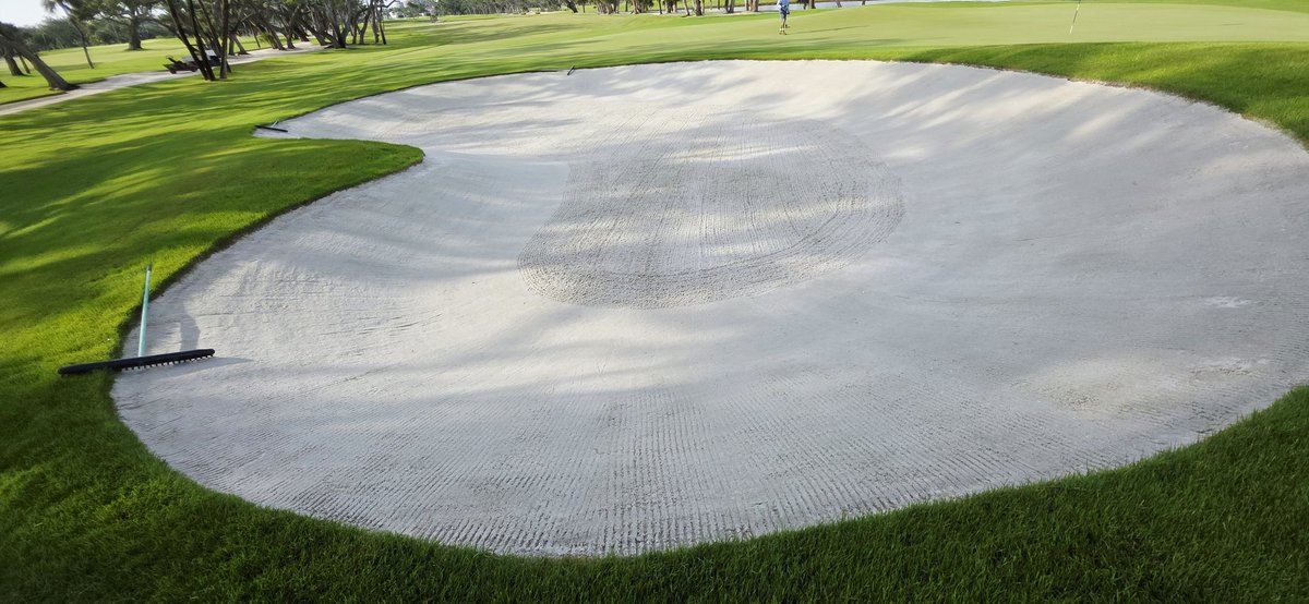 john reilly tweet media