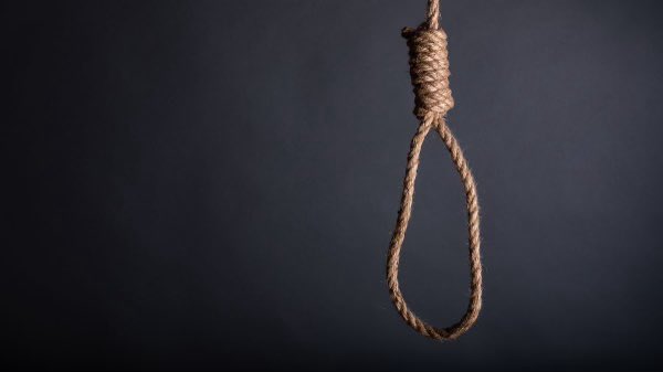 Is JoJoLands Confirmed? tweet media