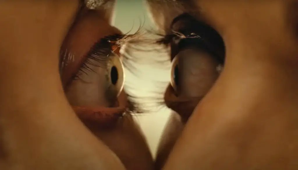 NEW MOVIE - Ambitious “Together,” is a Raw, Fresh Entry into Horror! Review by <a href="/TheAAPerez/">Anthony A. Perez</a> 
 thelatinoslant.com/movie-tv-revie…