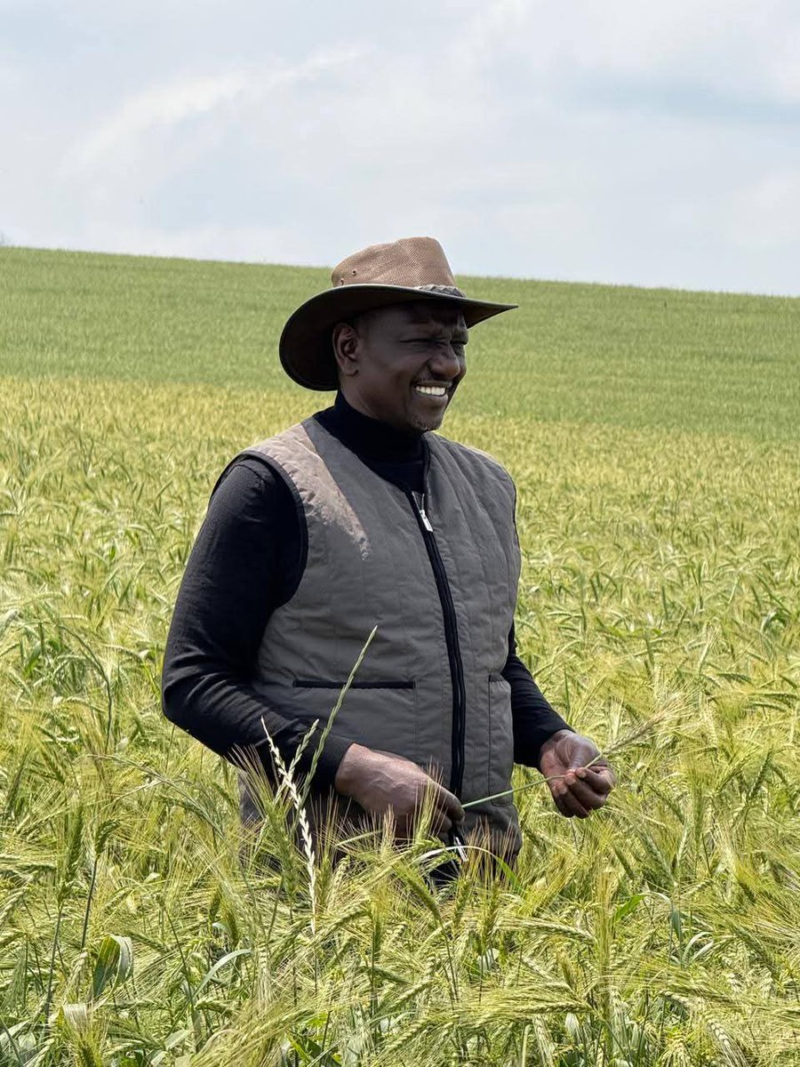 BiancaNaom1's tweet image. A glimpse into President William Ruto's wheat farm.

Indeed, great satisfaction comes when you're part of ensuring Kenyans are well-fed.